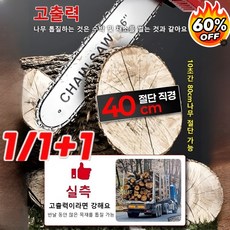 [2026독일 신기술]1/1+1업그레이드된 고출력 목공 전기 체인톱/순동수입모터/자동 연마 체인, [1세트]체인톱
