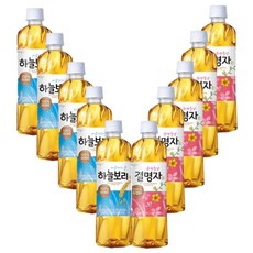 웅진 탕비실 식후음료 하늘보리 5개+결명자차 5개 나들이 소풍 디저트 500ml 10개, 1세트