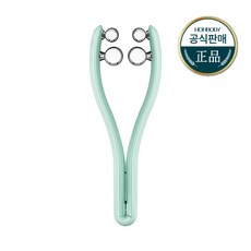 정품 혼바디 홈케어 빅 롤러 EMS경락 디바이스, CB0816, 민트