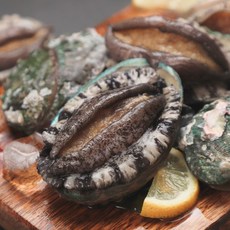 완도 전복 왕특대 직거래 1kg, 1개, 9-10미