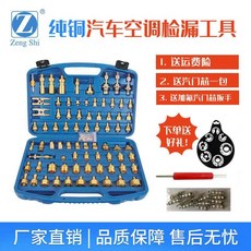 【正品貨 附電子發票】 純銅 汽車 空調 維修 檢漏 工具 測漏查漏試漏檢漏堵頭亞洲歐美混合版, 默認, 1個