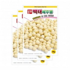 아시아종묘 씨앗 콩 백태 50g 3ea 메주콩, 3개