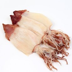 마른 한치 AAA등급 최고급 우윳빛깔 반건조 한치 왕특대~소 5미, 1팩, 중 5미(250g 내외)