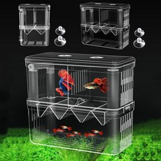 구피 열대어 부화통 번식함 격리통 치어통 소형 2칸, 1개