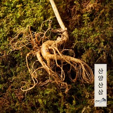 자연삼가 정품 프리미엄 산양삼 5-6년근 2뿌리, 1세트