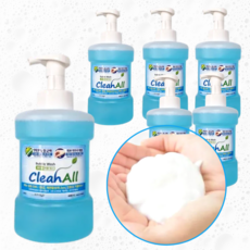 클린올 대용량 업소용 핸드워시 버블 800ml 6개 12개