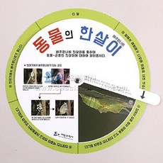픽데이즈 교과서실험 창작동물의한살이돌림책 배추흰나비 5명1세트 과학실험키트, 1개