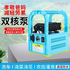 公司貨可開票 手提 電動 噴霧器 充電式農用小型果樹打藥機抽水機田園灌溉澆菜神器, 基礎續航【16安鋰電池+雙核泵】,5米高壓管