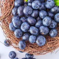 [더리얼파머스] 프리미엄 수입산 생 블루베리 생과, 1개, 125g x 2팩 (알당 14-16mm)