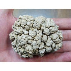 能量礦石 泰國宗教礦物 腦舍利 245公克 寮國洞穴古代嘛呢石, 1個