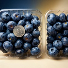 블루베리 생과 18mm 2팩 슈퍼푸드
