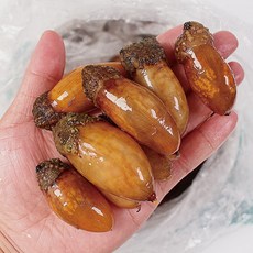 통수산 26년 제철 활 미더덕 손질 미더덕회, 1개, 활미더덕500g(순차출고)