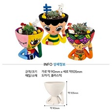 키즈카페 미술활동 미술놀이키트 색칠공부 다육식물키우기 자연과학, 1개