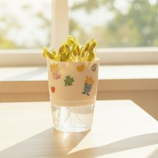 수경재배키트 콩나물키우기 만들기세트