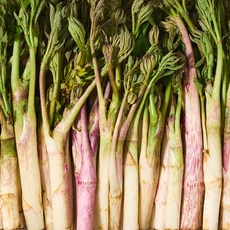 향긋한 제철 봄나물 한산도 땅두릅 튀김용, 1개, 2kg