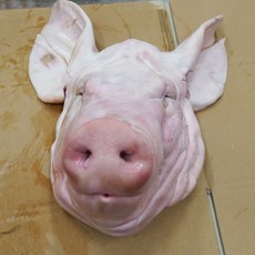국내산 돼지머리 1마리 통머리 [ 고사용X ] (냉장) pig head 꿀맛컴퍼니, 1kg, 1개