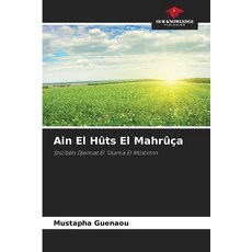 (英文書)Ain El Hûts El Mahrûça 平裝版, Our Knowledge Publishing, 英文