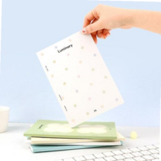 먼슬리 PVC커버형 다이어리 날짜 루미너리 2026 대시앤도트 59000EA 1EA, 04 슈가 도트