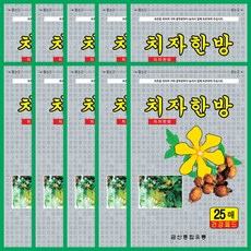 국산 치자한방 패드 건강패드 한방파스 25매입 x 10팩, 10개