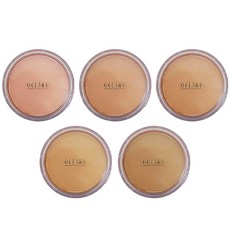 메이코 옥타드 모이스쳐 커버 파운데이션 본품(스펀지포함) 리필(스펀지 미포함), 2개, 840-리필