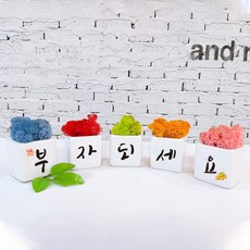 스마일컴퍼니 북유럽이끼 5색 모스 세트 아이콘 캘리그라피문구 메시지 개업 집들이 감사 승진 생일 오픈 선물 인테리어 공기정화식물 핸드메이드 순록이끼 스칸디아모스 사용, 1개