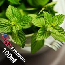 A017 티트리 앤 허브 100ml (Tea Tree Herb) 프래그런스오일 캔들 디퓨저 향수, 1개