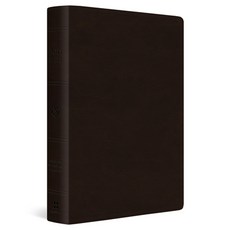 (영문도서)ESV Giant Print Bible Red Letter (Trutone Deep Brown) Imitation Leather, Crossway, English, 9798874906337