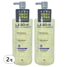 라보에이치 프로바이오틱스 탈모 증상 완화 샴푸 두피쿨링, 2개, 400ml