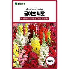 세계종묘 금어초 씨앗 300립 혼합종 금어초 꽃씨 종자, 5개