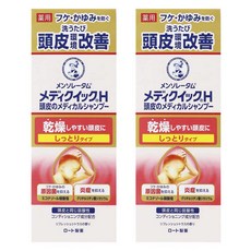 멘소래담 메디퀵 H 두피 메디컬 샴푸 모이스트 타입 리프레시 시트러스 향 보틀, 2개, 200ml