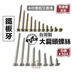 台灣製 4吋大扁頭鐵板牙螺絲 水電螺絲, 1個