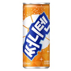 써니텐 오렌지 250mlx30캔x2박스, 250ml, 60개