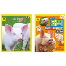꿀꿀꿀 돼지 세트, 블루래빗