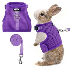 AIITLE 조절 가능한 토끼 및 목줄 세트 - 경량 및 휴대용 매직 테이프 디자인의 패딩 조끼 실내/실외 사용 (훈련 하이킹) - 햄스터 쥐 이구아나 강아지 고양, 퍼플