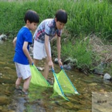 김영마켓 어린이용 그물 쪽대 물고기잡는뜰채