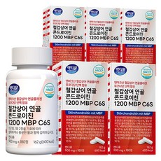 철갑상어 연골 콘드로이친 1200 MBP C6S 6형 저분자 식약청 HACCP 액티뮨, 5개, 180정