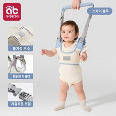 달과6펜스 보행기 2in1 보행 보조기 안전 걷기보조기구, 1개, 클래식 캐터블루