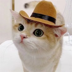 보따리라운지 강아지 고양이 미니 모자 패션 소품 애견코스튬모자, 브라운