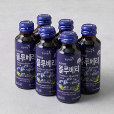 영진약품 프리미엄 블루베리 음료 100ml x 10병, 1세트