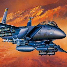 아카데미과학 1:72 F-15E 스트라이크 이글 12478A, 1개