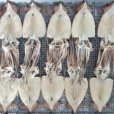 반건조오징어 피데기 해풍에 말린 오징어 원양산 술안주 간식, 반건조 오징어 250g 5마리