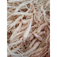 금산인삼파삼1kg 세척수삼5년근 생삼 인삼파삼1kg 세척삼 인삼파지 못난이인삼, 1개, 750g