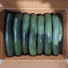 클릭마켓 국내산 쥬키니호박 특품 주키니호박, 1개, 특 10kg