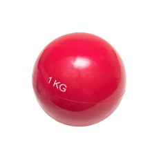 A-ITEM 피트니스 볼 1kg 웨이트 볼 메디신볼 복근 배근 근육 트레이닝 속옷 머슬 체간 트레이닝 (1kg, 1개