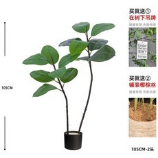 仿真橡皮樹盆栽 落地擺件, 1個, 綠襐樹1.05M雙桿 原初黑盆(贈掛31