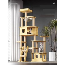 벽걸이 캣타워 공룡 디자인 창문 고양이 캣폴, 6. Y5 싱글 (솔리드우드)