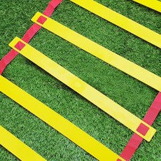 스텝 레더 3m, 1개