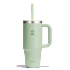 하이드로 플라스크 올어라운드 트래블 텀블러 1183ml 오트 탄 147807, 알로에