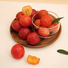 [착한식탁] 새콤달콤 자두 5kg 랜덤과, 1박스