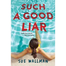 (영문도서) Such a Good Liar Paperback, Sourcebooks Fire, English, 9781728283470